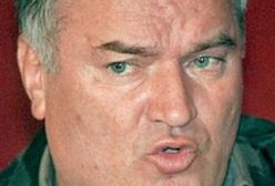 Amerykańscy i brytyjscy agenci pomagają w poszukiwaniach Mladicia