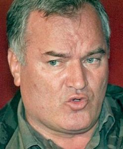 Amerykańscy i brytyjscy agenci pomagają w poszukiwaniach Mladicia