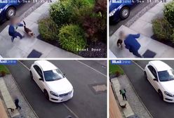 Pięciolatek znęca się nad kotem, policja odmawia wszczęcia postępowania