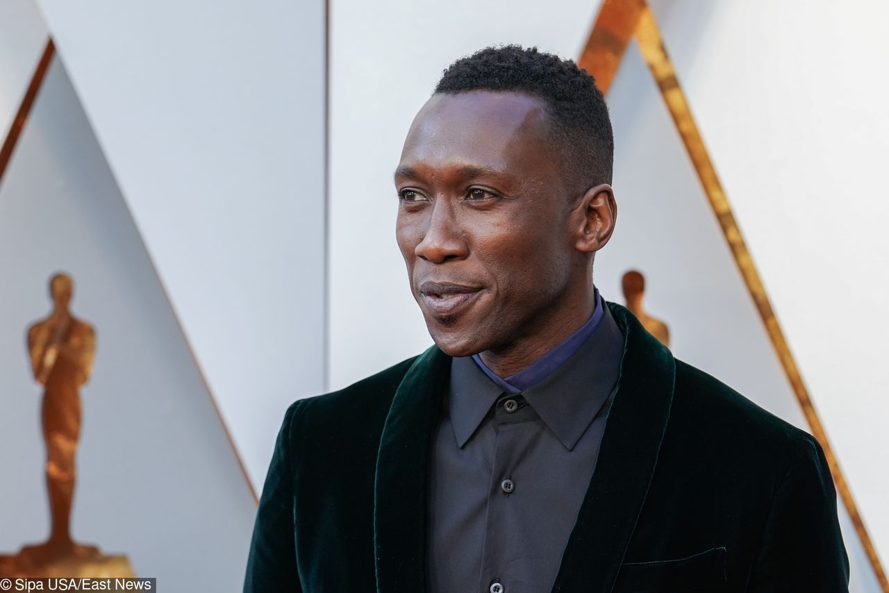 3 sezon „True Detective” - jest już zwiastun. Mahershala Ali w roli głównej!