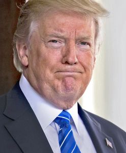 Donald Trump: "Bojownicy wkrótce odbiją wszystkie ziemie z rąk Państwa Islamskiego". Prezydent USA czeka na oficjalne potwierdzenie