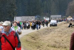 Turyści znowu najechali Tatry. Parkowali nawet na kwitnących krokusach