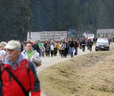 Turyści znowu najechali Tatry. Parkowali nawet na kwitnących krokusach