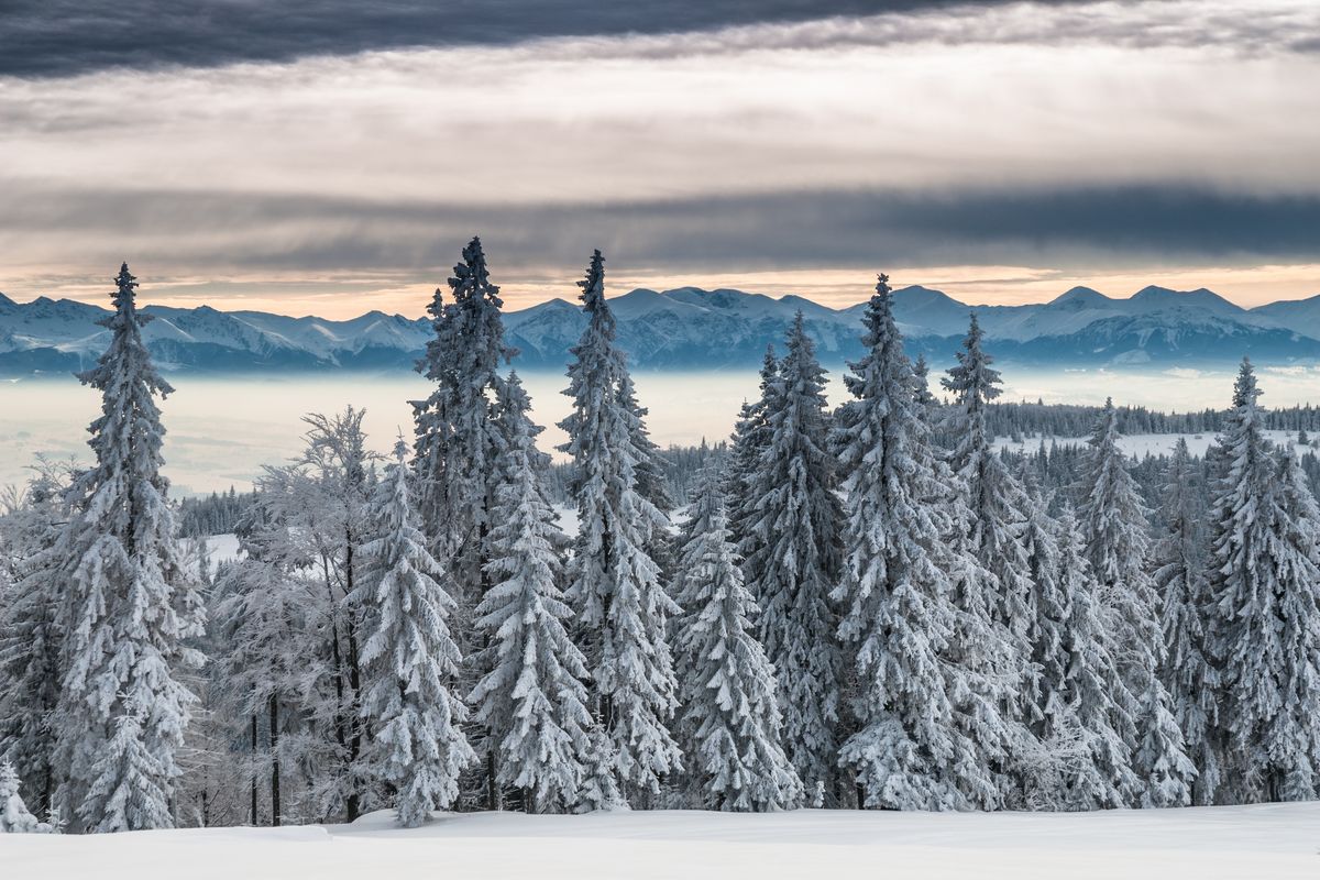 Śnieg w środku lata. Takie rzeczy tylko w Tatrach