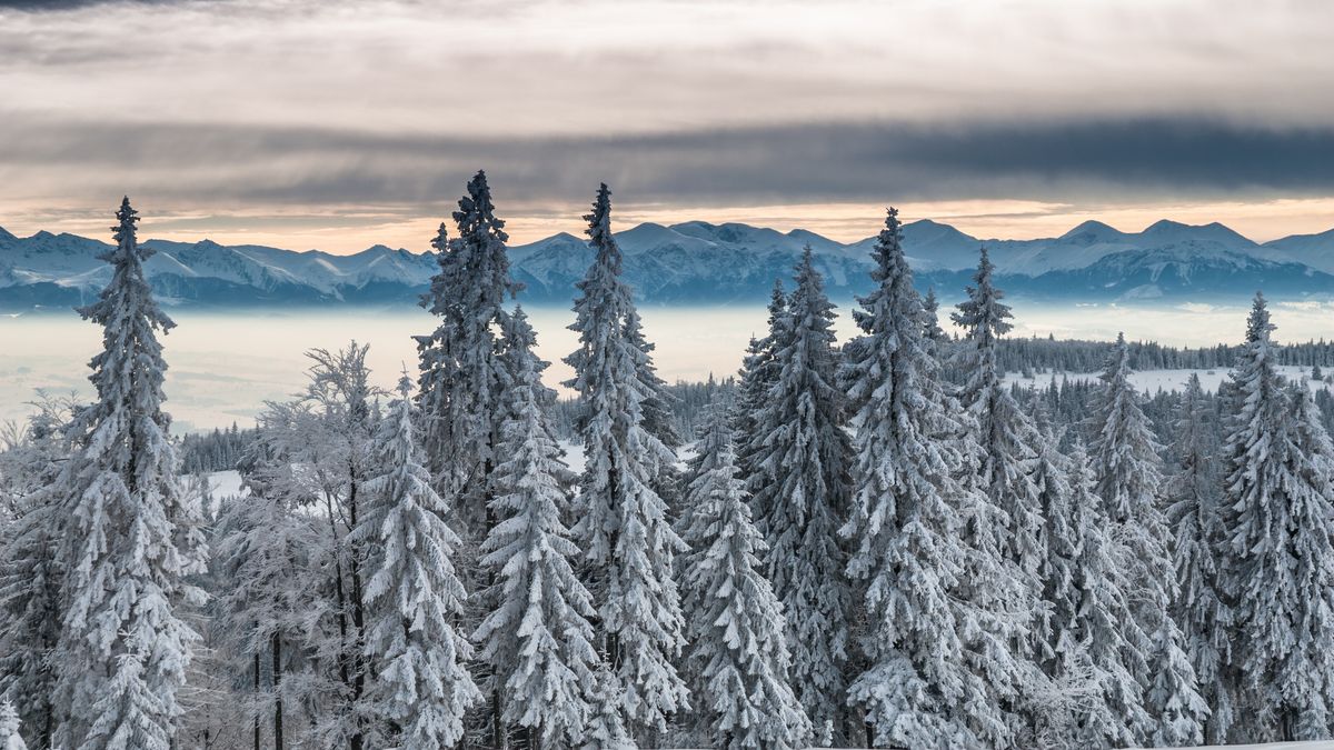 "Podwyżka nie powinna być dotkliwa" - uważa szef TPN.