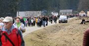 Turyści znowu najechali Tatry. Parkowali nawet na kwitnących krokusach
