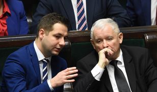 Jakub Majmurek: "Młode wilczki z PiS chcą wziąć nas za twarz" (Opinia)