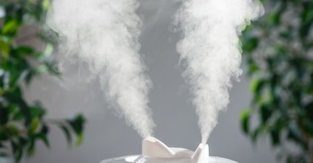 Oczyszczanie powietrza. Zadbaj o jakość domowej atmosfery już dziś