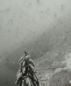 W Tatrach znów biało. Wygląda to na zimowy armagedon