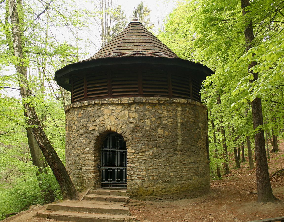 Obraz