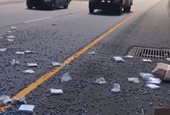 Pickup z kośćmi do gry zrzucił pół ładunku na autostradę. Prawdopodobnie pobił rekord
