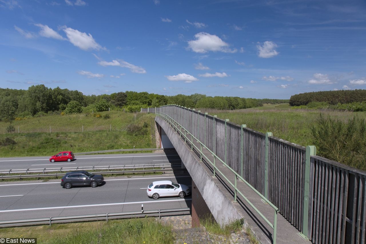 Polak bohaterem w Stanach. Uratował kobietę na autostradzie