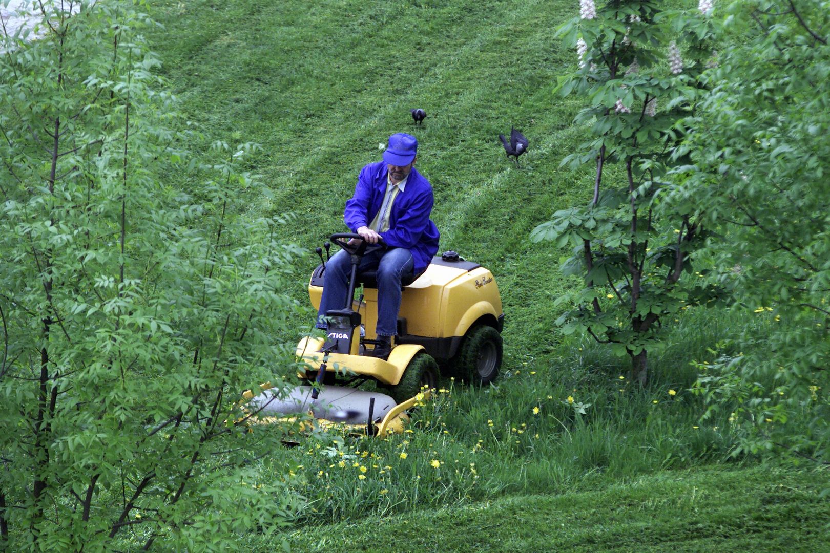 Nowe szaleństwo Polaków. Sąsiedzkie wojny o hałas i koszenie trawy w niedzielę