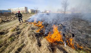 Kosztowne wypalanie traw. Zabiorą dotację, wlepią grzywnę