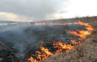 Wraz z wiosną powraca problem wypalania traw