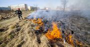 Kosztowne wypalanie traw. Zabiorą dotację, wlepią grzywnę