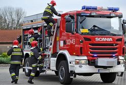 Pożar w Łebieniu. Zginęło ponad 200 zwierząt