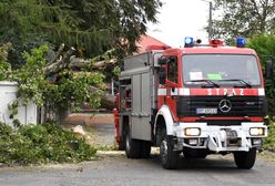 Pogoda. Silny wiatr zerwał linię energetyczną na Opolszczyźnie. Padło stado krów rażonych prądem