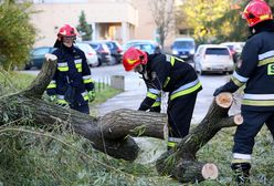 Burze i wichury spustoszyły Polskę. Ponad 400 interwencji strażaków