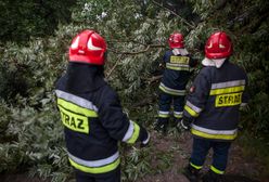 Nawałnice nad Polską. Powalone drzewa, zalane ulice