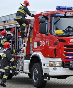 Pożar w Łebieniu. Zginęło ponad 200 zwierząt