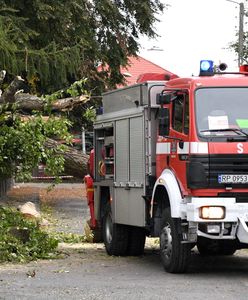 Pogoda. Silny wiatr zerwał linię energetyczną na Opolszczyźnie. Padło stado krów rażonych prądem