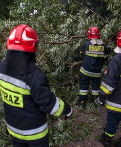Nawałnice nad Polską. Powalone drzewa, zalane ulice
