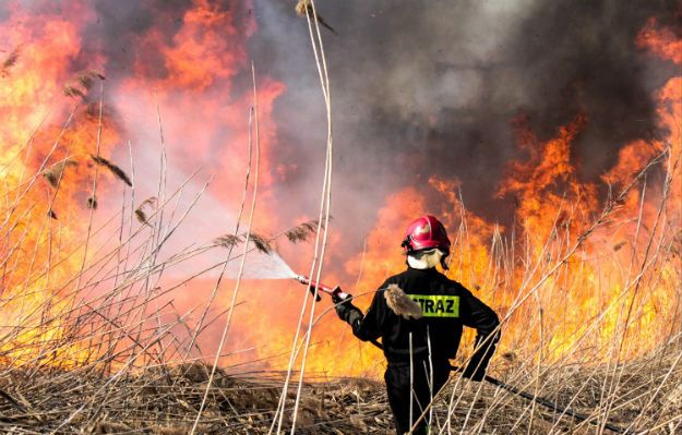 Pożar składowiska odpadów w Pukininie. W akcji 8 zastępów strażaków