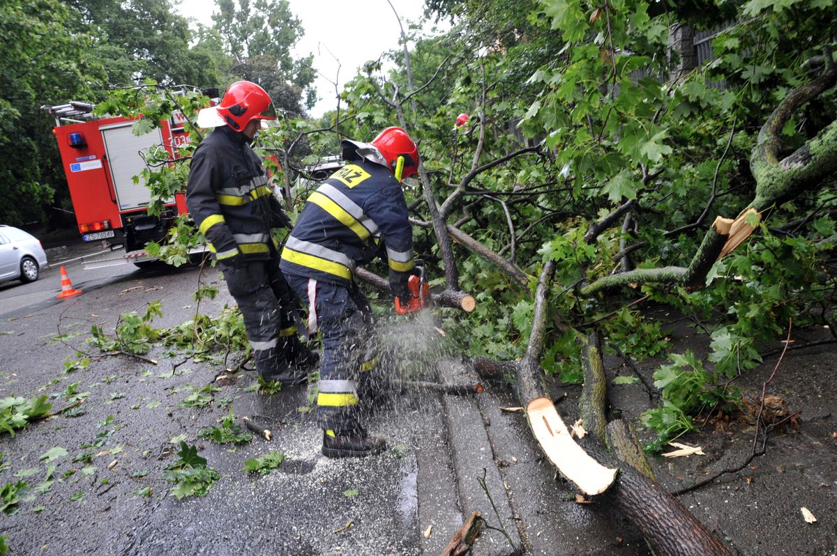 Trąba powietrzna koło Sztumu. Pozrywane dachy i powalone drzewa