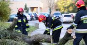 "Halina" daje Polakom w kość. Ponad 600 interwencji straży, tysiące ludzi bez prądu