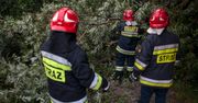 Nawałnice nad Polską. Powalone drzewa, zalane ulice