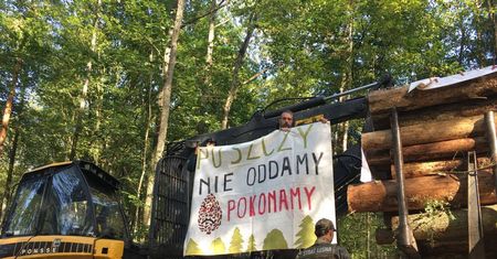 Obrońcy rzucili się na harvestery. Skończyło się atakiem straży