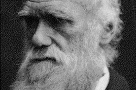 Szkoły w Kansas walczą z teorią Darwina