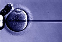 Lekarz i teolog o in vitro: "Rewolucja” o nieobliczalnych skutkach