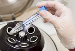 Władze Kielc nie sfinansują zabiegów in-vitro. Powód? Prezydent jest katolikiem