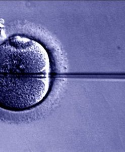 Lekarz i teolog o in vitro: "Rewolucja” o nieobliczalnych skutkach