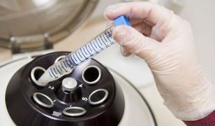 Władze Kielc nie sfinansują zabiegów in-vitro. Powód? Prezydent jest katolikiem