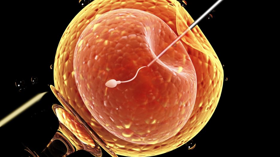 Bydgoszcz dofinansuje metodę zapłodnienia in vitro.