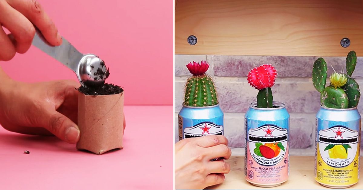 6 Gardening Tricks for People Who Want to Grow Plants but Don’t Have a Garden
