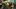 Pierwszy prawdziwy zwiastun Psychonauts 2
