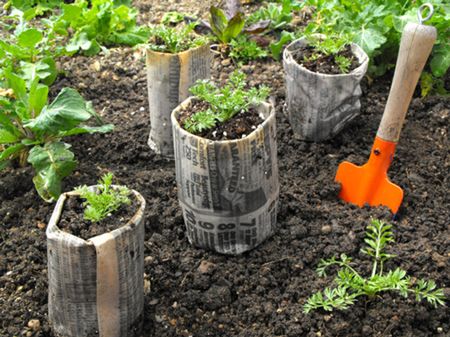 Newspaper Seed-Starter Pots