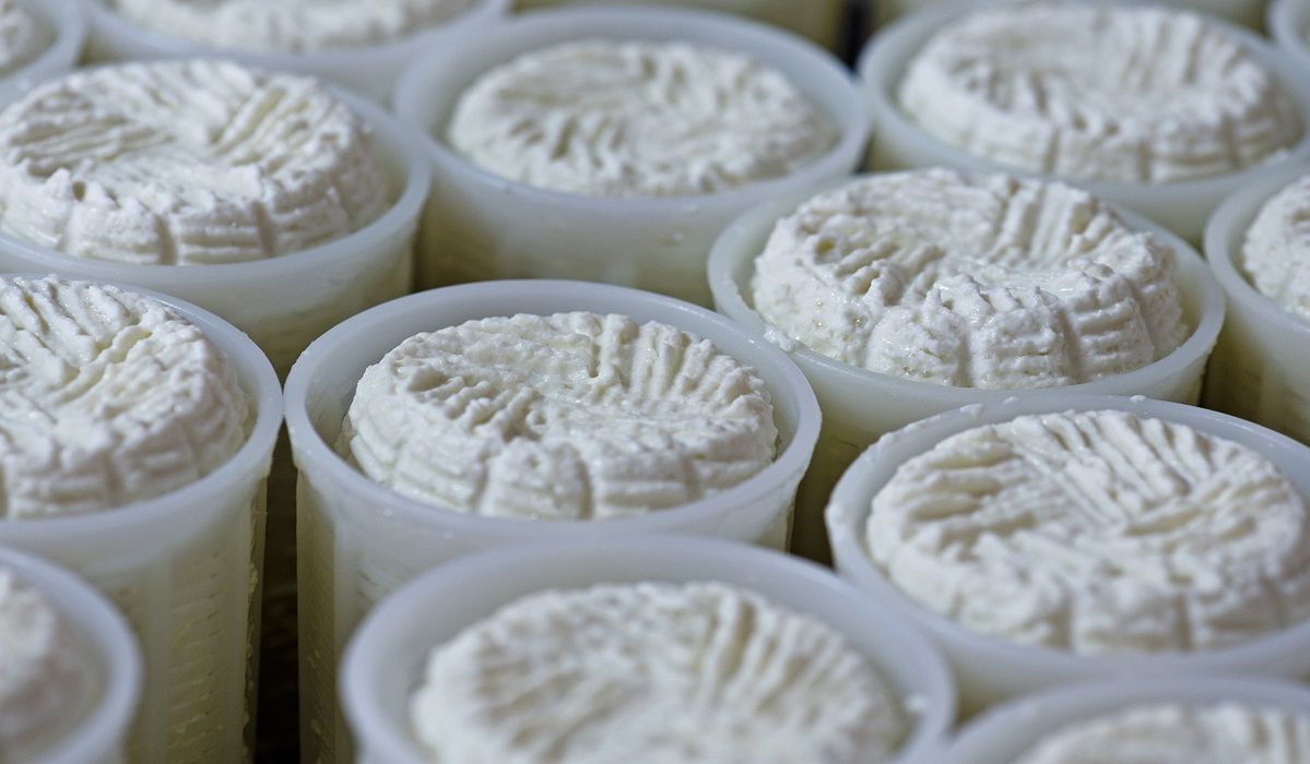 Do czego wykorzystać ser ricotta? Sprawdzone pomysły na dania
