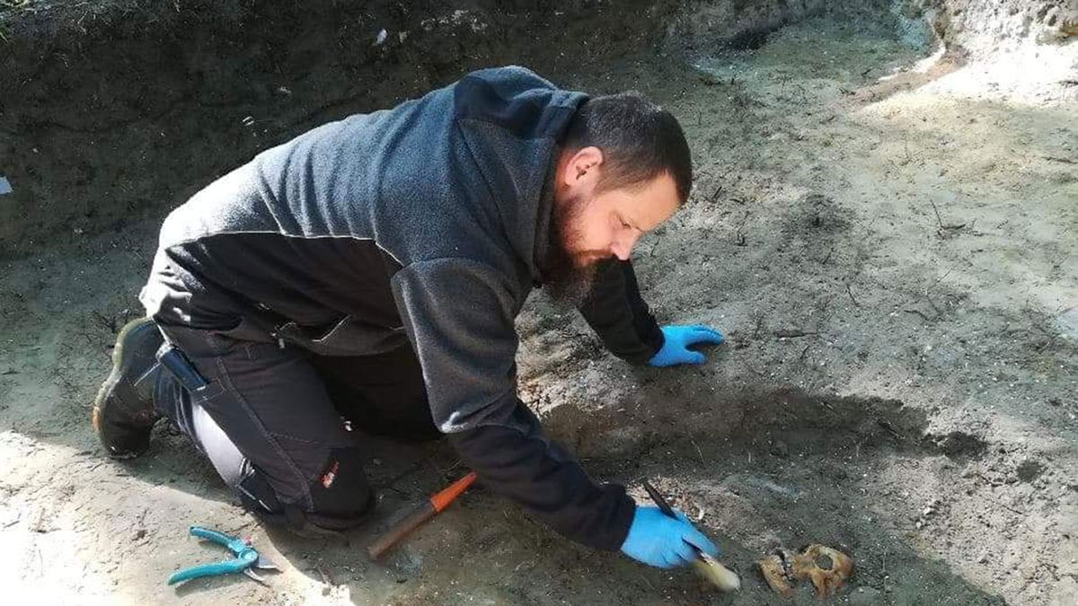 Prace prowadzą archeolodzy z Muzeum z Muzeum Westerplatte i Wojny 1939