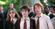 Harry Potter i domowa kwarantanna. Ruszyła nowa akcja dla fanów czarodzieja