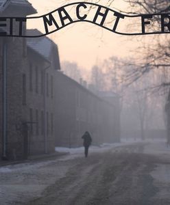 Turyści z Belgii staną przed sądem za okradanie Muzeum Auschwitz