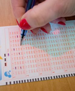 Wyniki Lotto. Sprawdź, czy wygrałeś