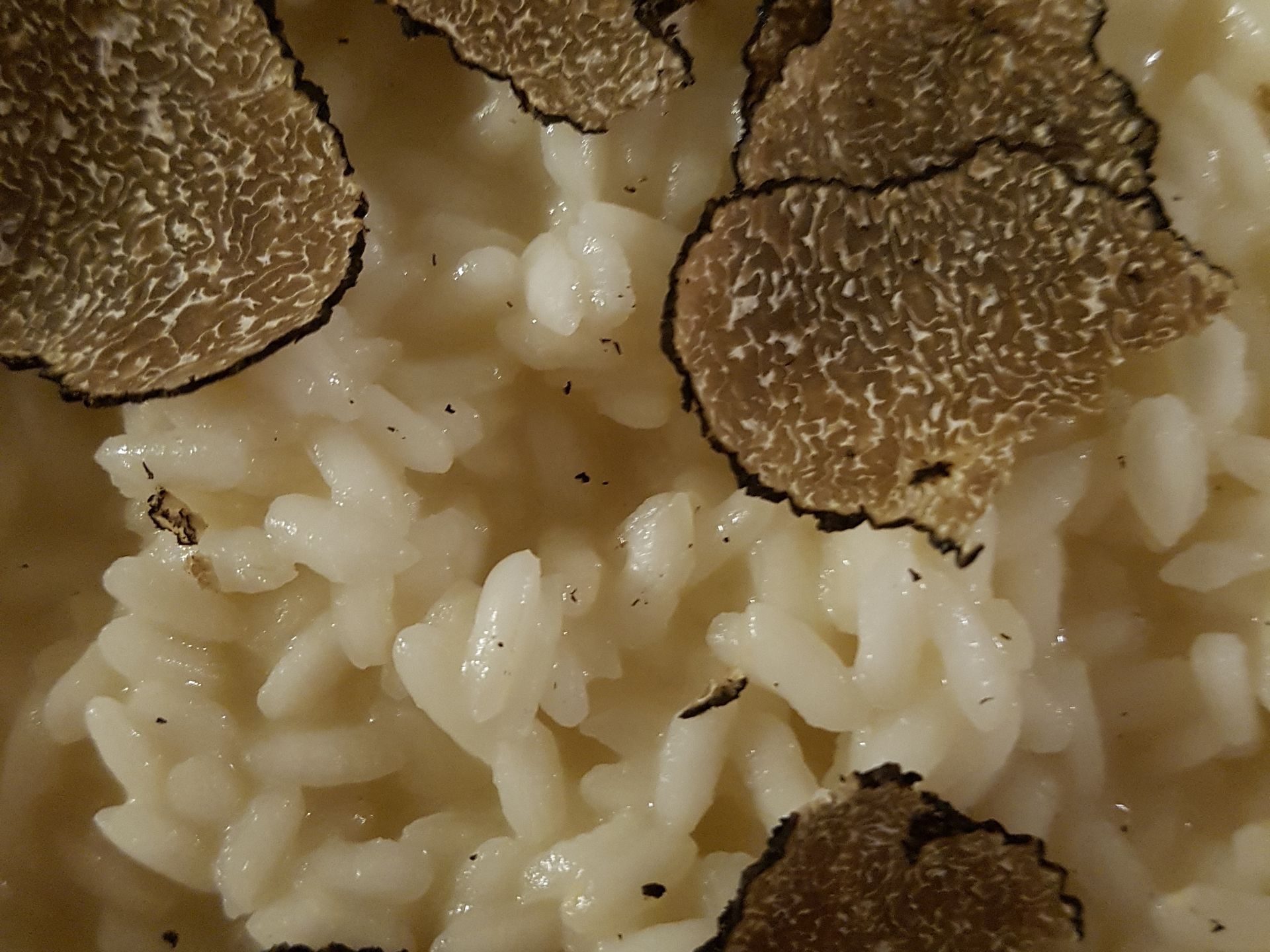 Włosi kochają borowiki, słynne włoskie funghi porcini, kurki i podgrzybki