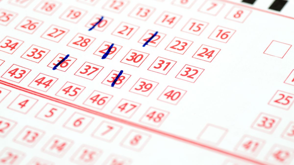 Wyniki Lotto 23.11.2019. Losowania Multi Multi, Mini Lotto, Ekstra Pensja, Ekstra Premia, Kaskada, Super Szansa