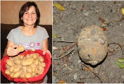 Niesamowite znalezisko w worku z ziemniakami. Myślała, że to kamień, ale kupiła... granat