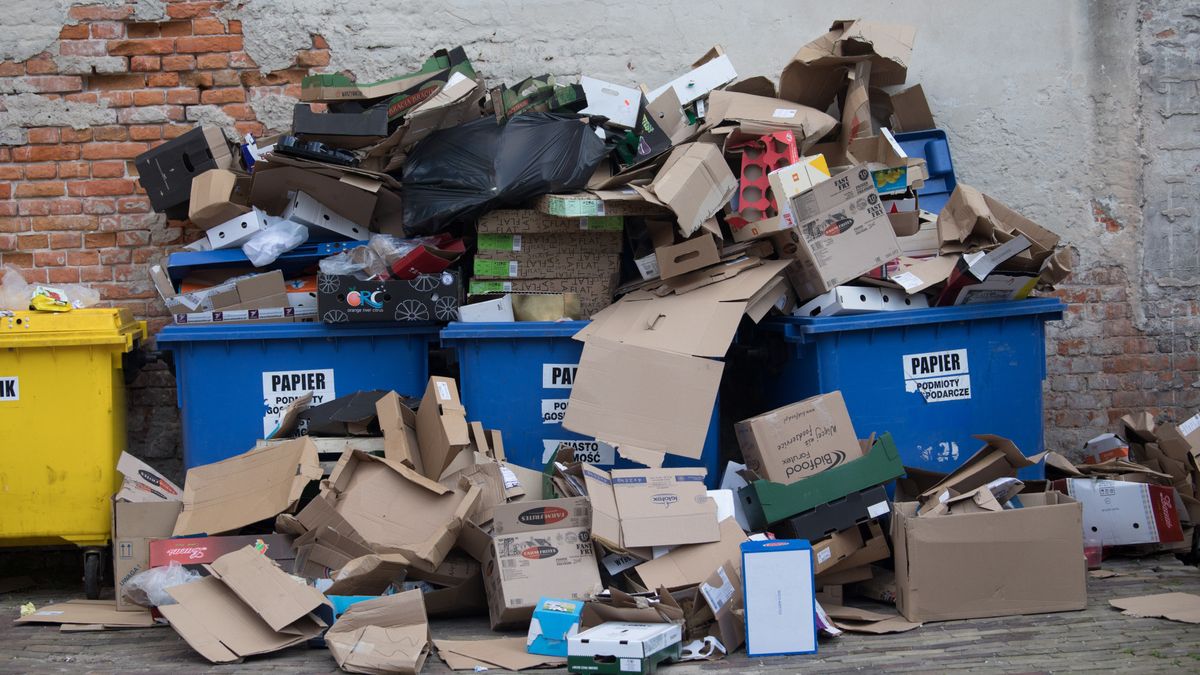 Makulatury nikt już nie chce. Dlatego tak wyglądają polskie śmietniki. 